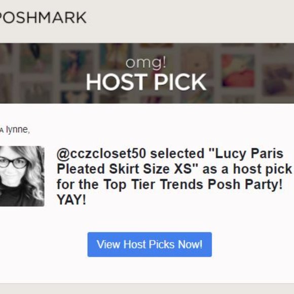 💗Host Pick💗 Lucy Paris Pleated Skirt Size XS - Picture 9 of 9